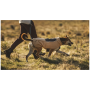 Облекло за куче Ruffwear Timberline Fuse™ Fleece Vest