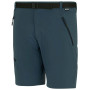 Мъжки къси панталони Regatta Xert Stretch Shorts