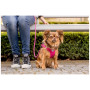 Повод за куче Curli Stretch Comfort Leash