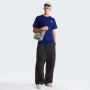Мъжка тениска The North Face Evolution Simple Dome Regular Short Sleeve Tee