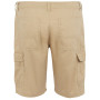 Мъжки къси панталони Regatta Ruwan Shorts