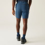 Мъжки къси панталони Regatta Travel Light Packaway Shorts