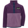 Детски суитшърт Didriksons Monte Kids Half Bu 6 Northen Purple лилав Northen Purple