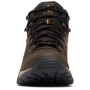 Мъжки обувки Columbia Newton Ridge™ Plus II Waterproof