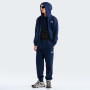 Мъжки суитшърт The North Face M Evolution Simple Dome Regular Full Zip