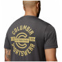 Мъжка тениска Columbia Parsons Point™ SS Back Graphic Tee