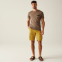 Мъжки къси панталони Regatta Shorebay Shorts II