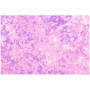 Детски панталони Wouki Aiki Dusty violet