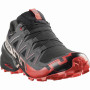 Мъжки обувки за бягане Salomon Speedcross 6 Gore-Tex
