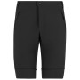 Мъжки панталони Regatta Mountain Z/O Trousers