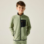 Детски суитшърт Regatta Junior Frankie F/Z Light Sage