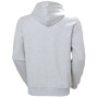 Мъжки суитшърт Helly Hansen Core Graphic Hoodie