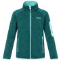 Детски суитшърт Regatta Junior Newhill DrkForGlacGr зелен DrkForGlacGr