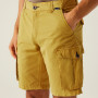 Мъжки къси панталони Regatta Shorebay Shorts II
