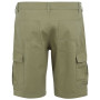 Мъжки къси панталони Regatta Ruwan Shorts
