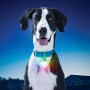 Светеща висулка Nite Ize SPOTLIT XL