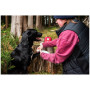 Аптечка за кучета Mountain Paws Dog First Aid Kit