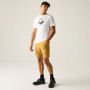 Мъжка тениска Regatta Fingal Graphic T-Shirt