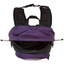 Раница The North Face Hot Shot Se