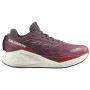 Дамски обувки за бягане Salomon Aero Glide 4