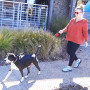 Повод за куче Nite Ize RadDog™ Retractable Pocket Leash