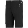 Мъжки панталони Regatta Mountain Z/O Trousers