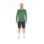 Функционална мъжка тениска Devold Breeze Plus Merino 200 Shirt Man