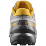 Мъжки обувки Salomon Speedcross 6 20 Years