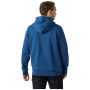 Мъжки суитшърт Helly Hansen HH Logo Hoodie