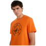 Мъжка тениска 4F Tshirt M3138
