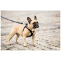 Повод за куче Curli Adjustable Leash Nylon