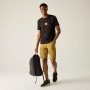 Мъжки къси панталони Regatta Ruwan Shorts
