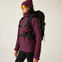 Дамско яке Dare 2b Torrek Blaze Jacket