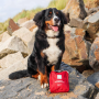 Аптечка за кучета Mountain Paws Ultimate Dog First Aid Kit