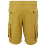 Мъжки къси панталони Regatta Shorebay Shorts II