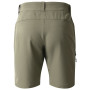 Мъжки къси панталони Dare 2b Torrek II Short