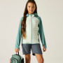 Детско яке Regatta Junior Andreson Hybrid IvyMossOMist