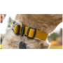 Нашийник за куче Ruffwear Hi & Light™ Collar
