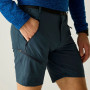 Мъжки къси панталони Regatta Xert Stretch Shorts