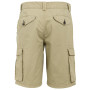 Мъжки къси панталони Regatta Shorebay Shorts II