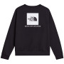 Мъжки суитшърт The North Face M Evolution Box Nse Regular Crew