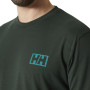 Мъжка тениска Helly Hansen Skog Graphic T-Shirt