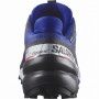 Мъжки обувки Salomon Speedcross 6 Gore-Tex Equipe