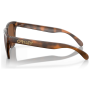 Слънчеви очила OAKLEY Frogskin Prizm Tungsten