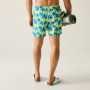 Мъжки бански Regatta Loras Swim Short