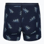 Мъжки функционални боксерки Icebreaker Men M 150 Anatomica Boxers BearTourAOP