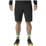 Мъжки къси панталони Dynafit Traverse Hybrid Shorts M