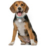 Светещ нашийник за куче Nite Ize SpotLit Rechargeable Collar Light
