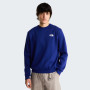 Мъжки суитшърт The North Face M Evolution Box Nse Regular Crew