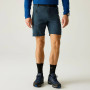 Мъжки къси панталони Regatta Xert Stretch Shorts
